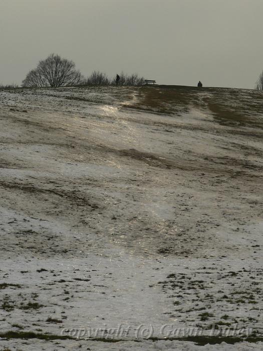 Parliament Hill, Winter, Hampstead Heath P1070544.JPG